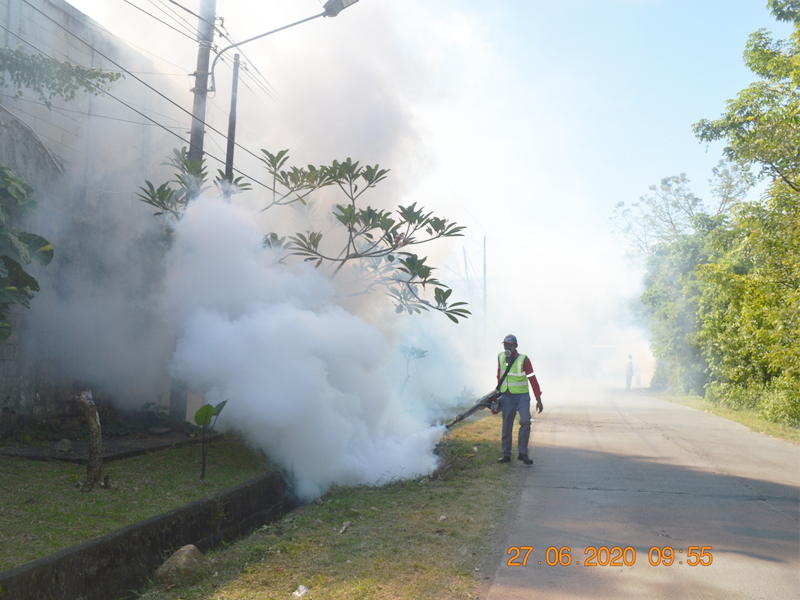 Mosquito Fogging