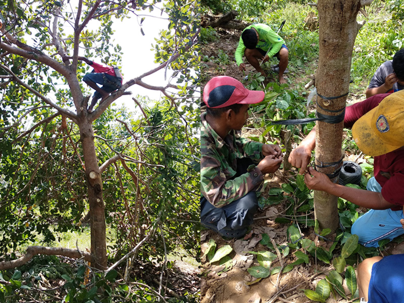 Farmers Training in Southeast Sulawesi